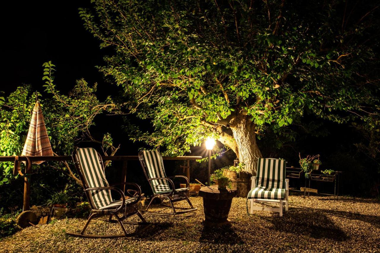 Casale San Martino Bed & Breakfast Laureana Cilento Eksteriør bilde