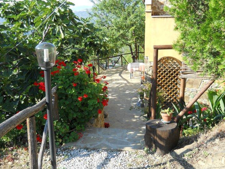 Casale San Martino Bed & Breakfast Laureana Cilento Eksteriør bilde
