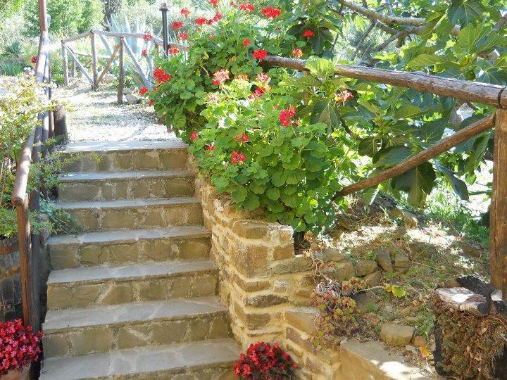 Casale San Martino Bed & Breakfast Laureana Cilento Eksteriør bilde