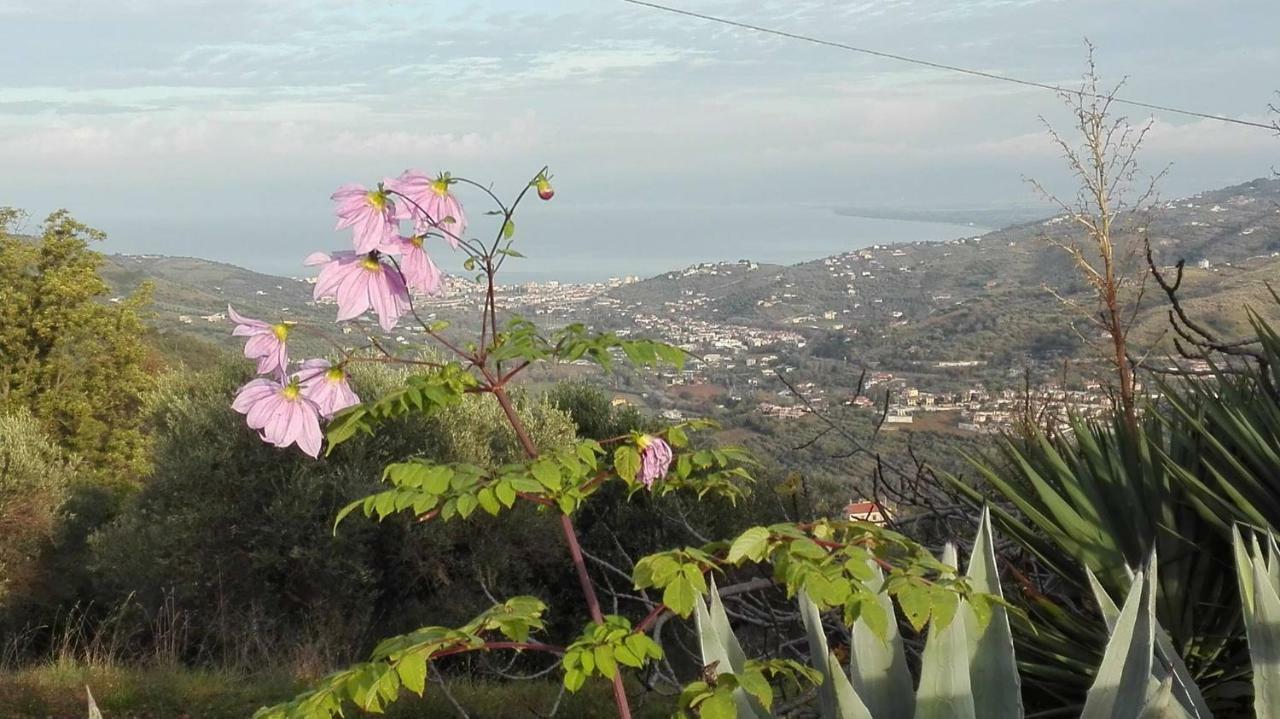 Casale San Martino Bed & Breakfast Laureana Cilento Eksteriør bilde