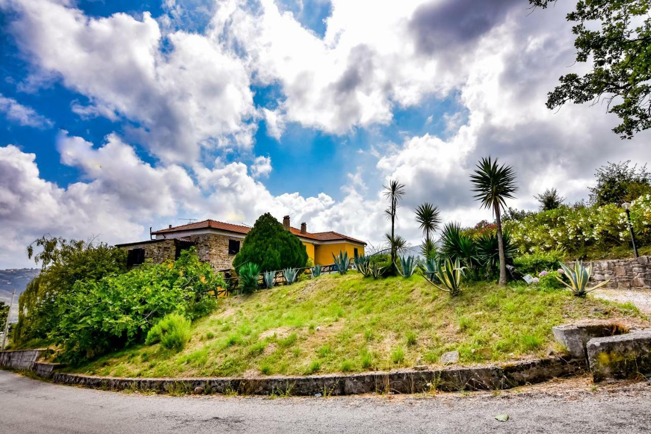 Casale San Martino Bed & Breakfast Laureana Cilento Eksteriør bilde